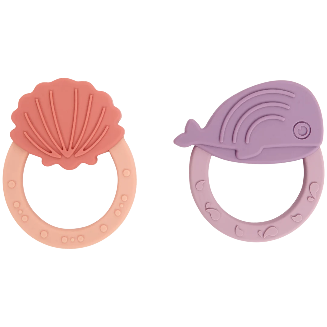 Alvär Anneaux de dentition