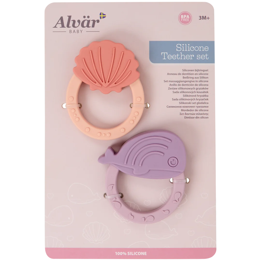 Alvär Anneaux de dentition