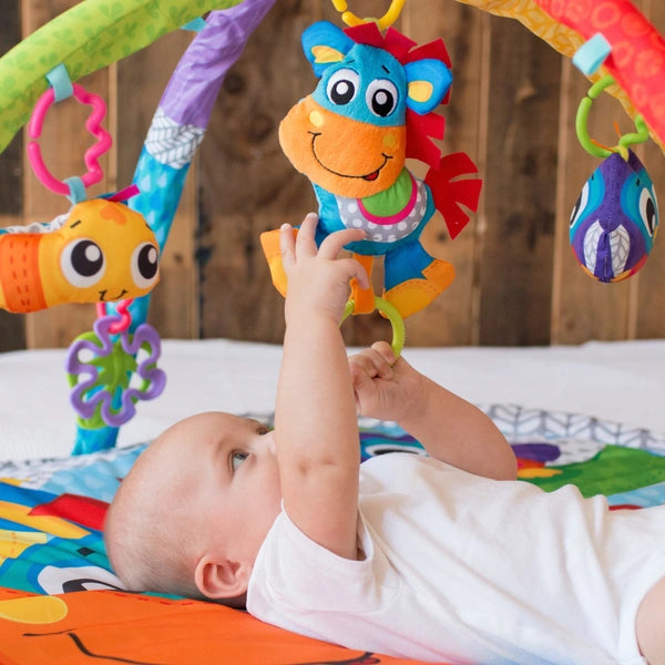Playgro - Tapis d'Éveil Activités Musicales
